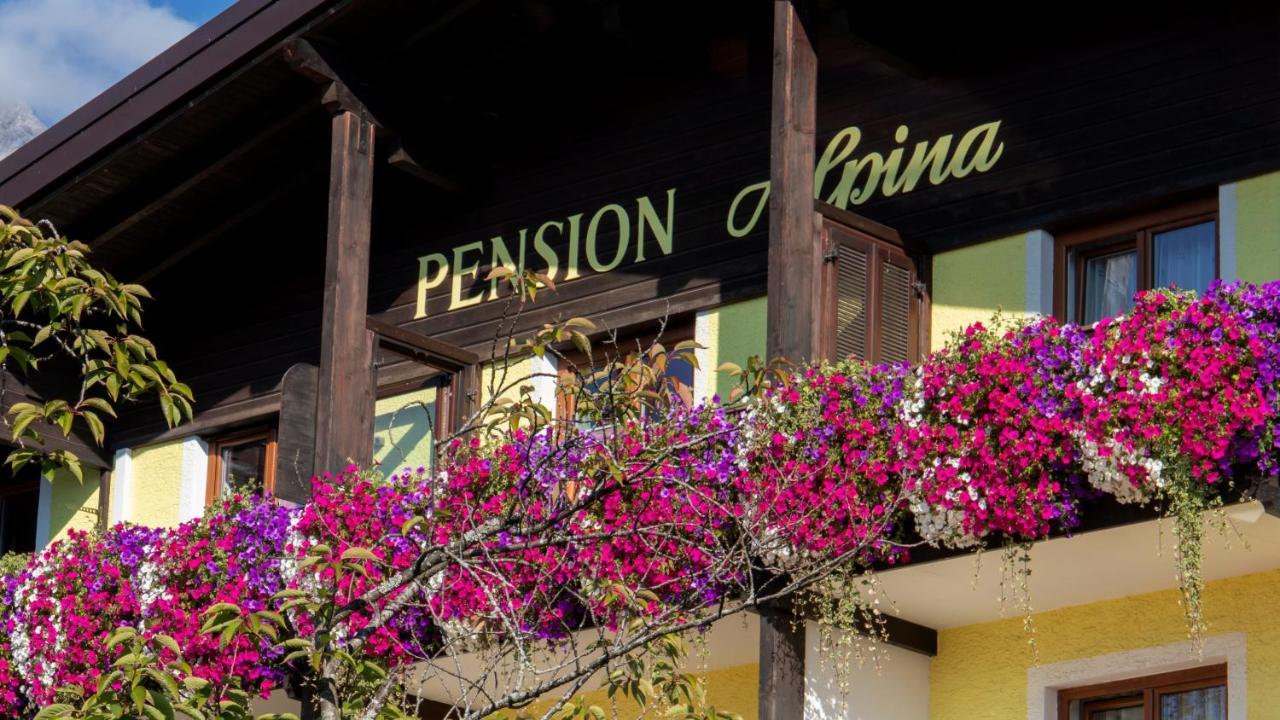 Café Pension Alpina Innsbruck Extérieur photo