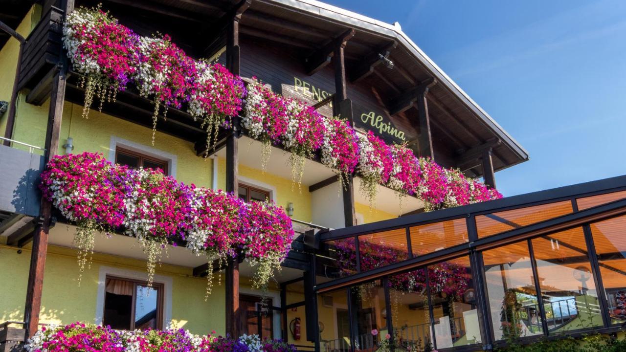 Café Pension Alpina Innsbruck Extérieur photo